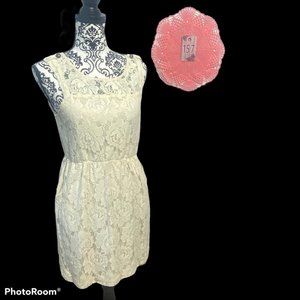 Hearts Lacey Dress with Pockets and Back Zipper